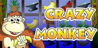 Crazy Monkey