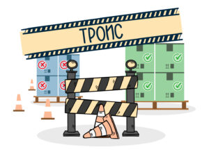 Практика внесения товарного знака в Таможенный реестр (ТРОИС)