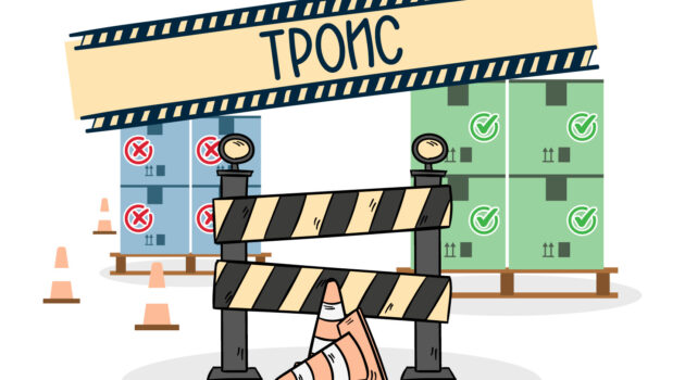 Практика внесения товарного знака в Таможенный реестр (ТРОИС)